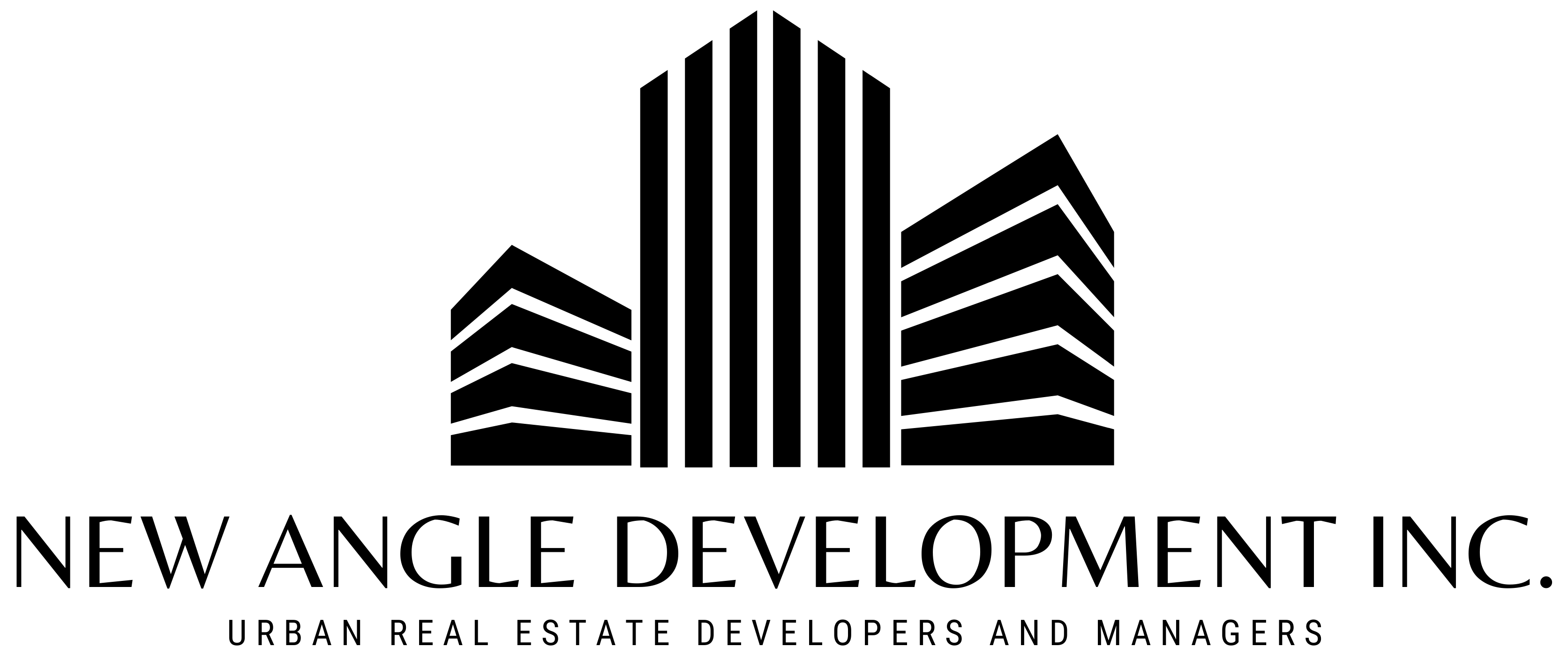New Angle Development Logo
